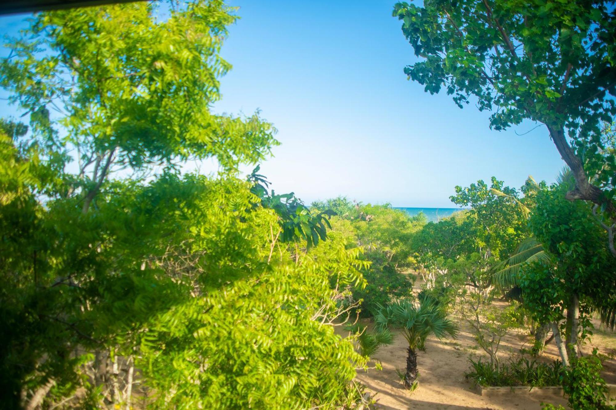 Nikara Luxury Beach House Tissamaharama Buitenkant foto